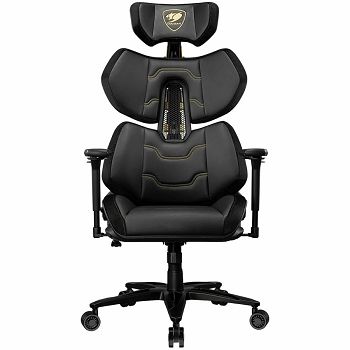 CGR-TRE-GLB_1.jpg