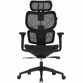 CNS-MOCH01_1.jpg