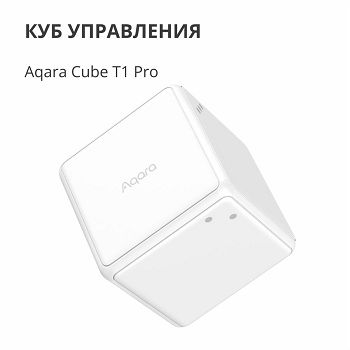 CTP-R01_7.jpg