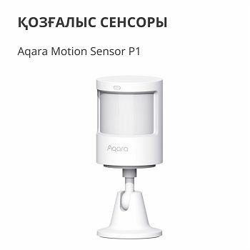 MS-S02_6.jpg