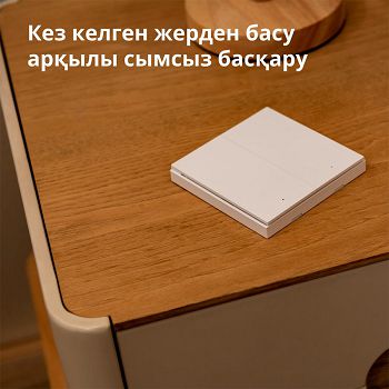 WRS-R02_13.jpg