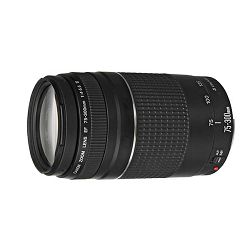 Canon EF 75-300 4.0-5.6 III USM